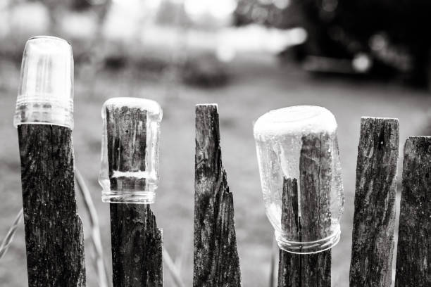 many small vases with different summer flowers hang on a wooden ladder