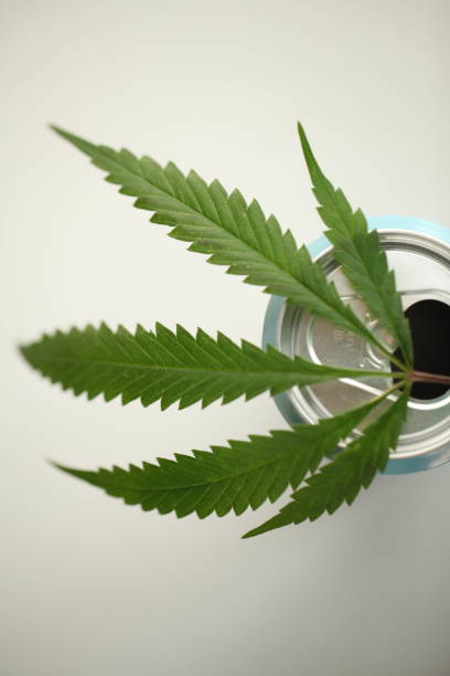 istock Energy drink with cannabis 1057897598