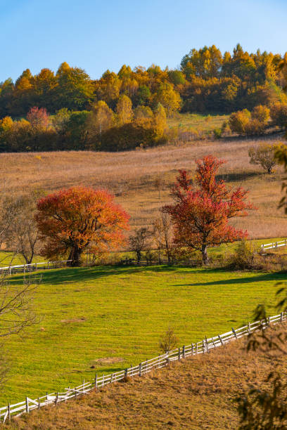 istock Autumn Colorful Landscape 1057899058