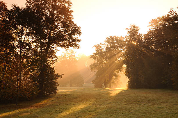 istock Sunrise Monring Fall Bad Muskau Park 105789935