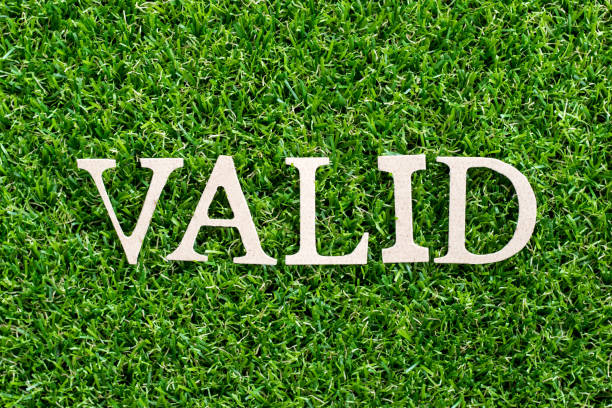 istock Wood letter in word valid on artificial green grass background 1057902394