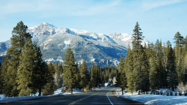 istock Road with pikes tree in the winter 1057906630