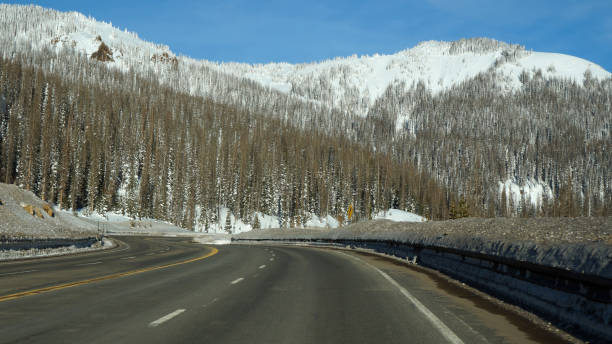 istock Road toward the pike forest in the winter 1057906766