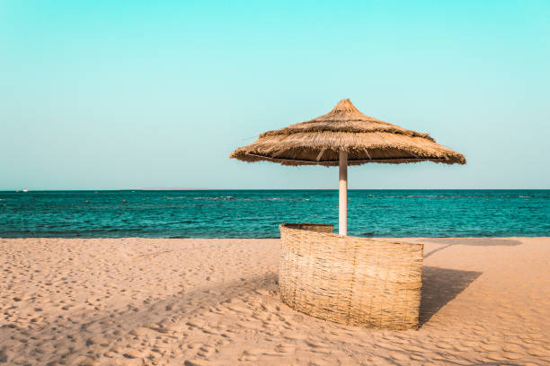 beach umbrellas made from natural materials from palm trees by the sea