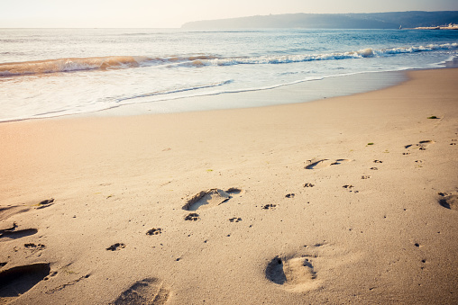 Footprints of human and dog on the deserted sea beach at sunrise.