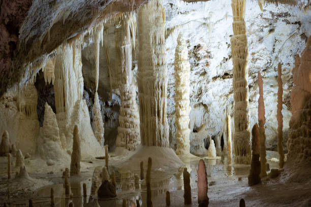 그로 테 디 frasassi 제냐, 앙 코나의 카르스트 동굴 시스템 이며 이탈리아에서 가장 유명한 쇼 동굴 - stalagmite 뉴스 사진 이미지