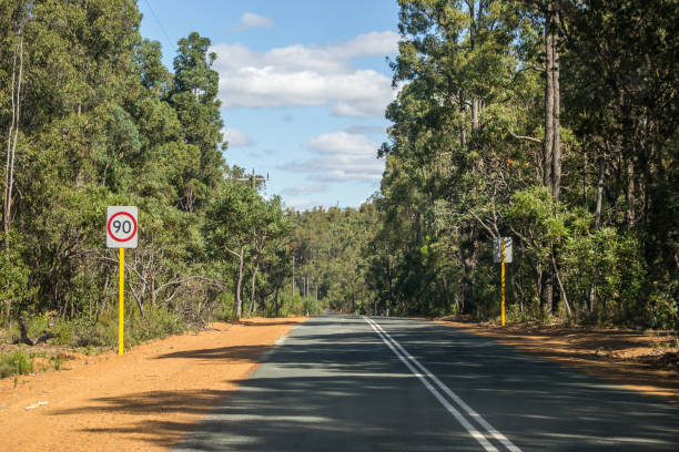 istock lonely road landscape with lots of trees 1057915830