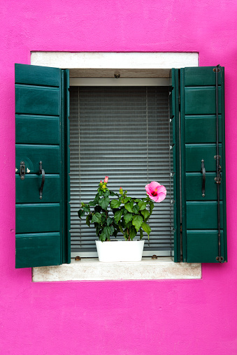 Beautiful window with green shutters and flowers on a pink house wall. Colorful houses on Burano island near Venice, summer Italy