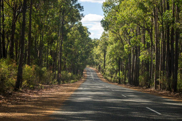 istock Landscape of a lonely road at mundaring 1057917708