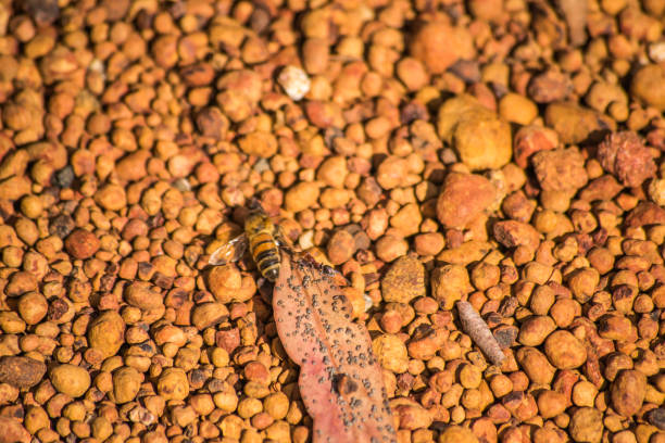 texture of little rocks from Perth
