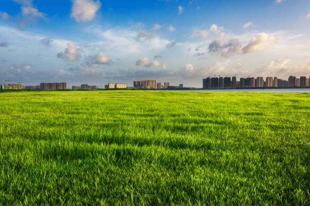 istock The skyline of sunrise 1057918942