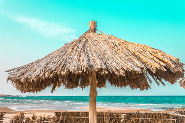 istock beach umbrellas made from natural materials by the sea 1057924274