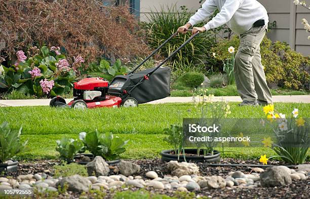 Mähen Auf Dem Rasen An Einem Frühlingstag Stockfoto und mehr Bilder von Arbeiten - Arbeiten, Blume, Blumenzwiebel