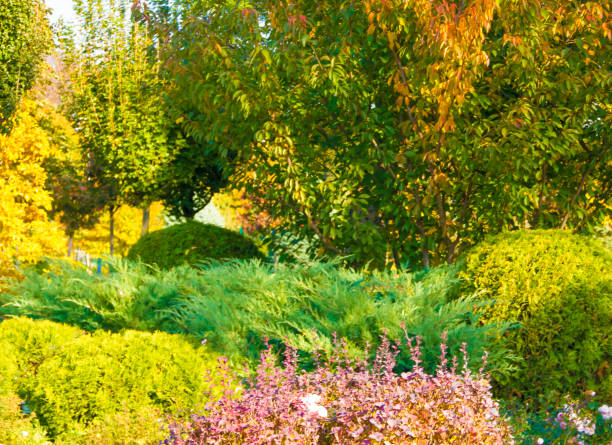istock autumn park landscape design 1057928672