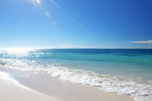 Beautiful Tropical Beach And Seascape