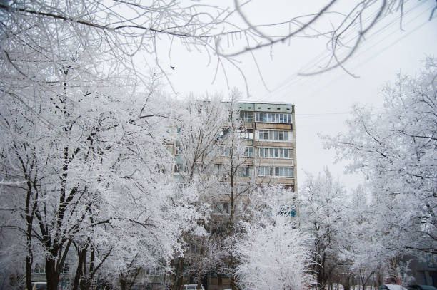 istock Snow-covered trees in a city park 1057932184