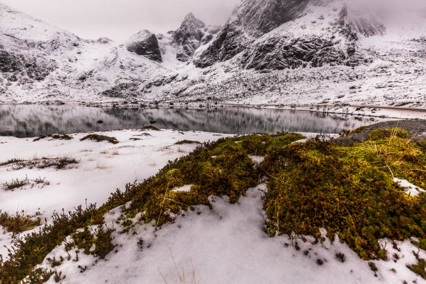 istock lofoten island 1057932370