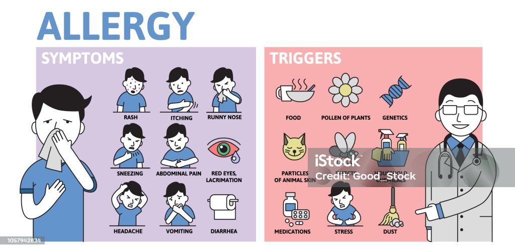 Allergie-Infografiken. Allergie-Symptome und Auslöser Informationen Poster mit Text und Zeichen. Flache Vektor-Illustration, horizontale. - Lizenzfrei Allergie Vektorgrafik