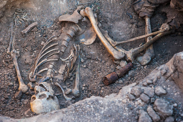 istock Skeleton soldier of the Second World War 1057943270