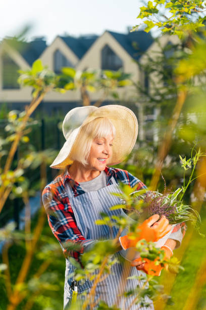 istock Cheerful attractive old lady enjoying a sunny day 1057947328