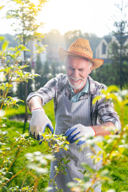 istock Cheerful nice retired man working in the garden 1057948670