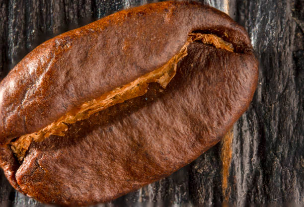Coffee seeds on grunge wooden background close up