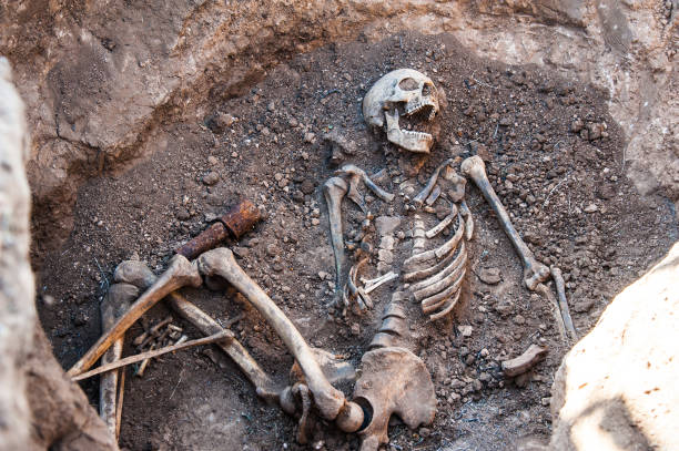 istock Skeleton soldier of the Second World War 1057967096