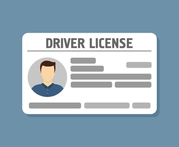Car driver license identification with photo Car driver license identification with photo driver's license stock illustrations