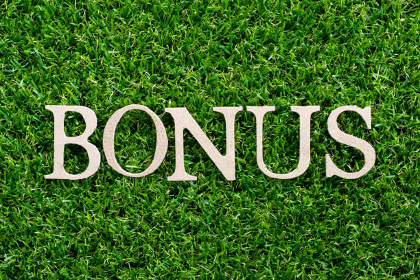 istock Wood letter in word bonus on artificial green grass background 1057970588