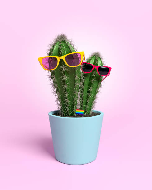 istock Cacti with glasses in flower pot. 1057970792