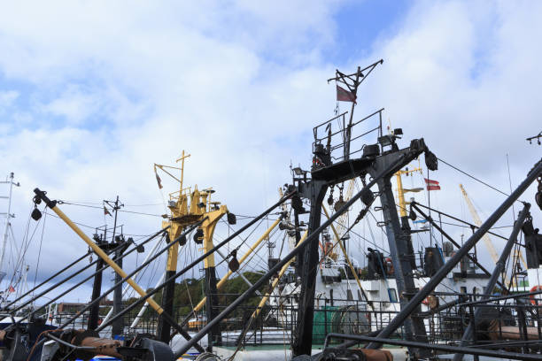 istock Fishing boat in harbour docked at the quay. 1057970804