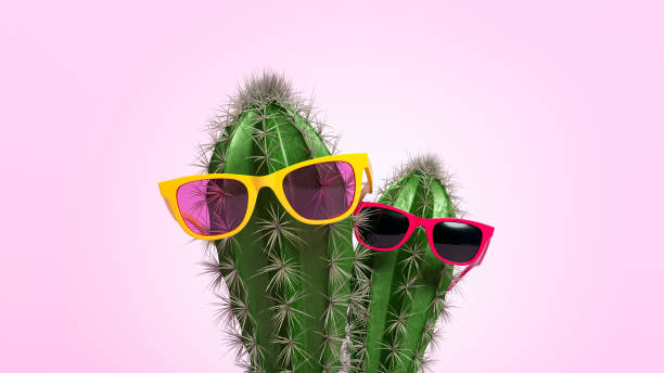 istock Cacti with glasses in flower pot. 1057970812