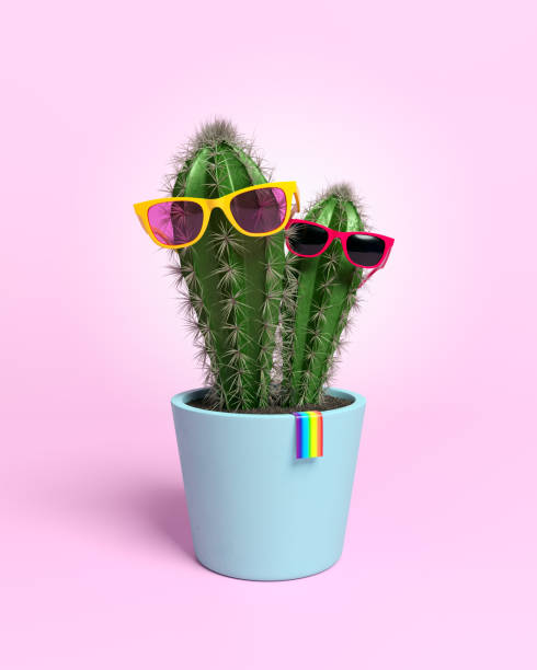 istock Cacti with glasses in flower pot. 1057970826