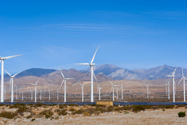 바람과 태양 농장 캘리포니아 사막에서 - solar panel wind turbine california technology 뉴스 사진 이미지