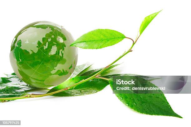 The Globe Concept Eco Stock Photo - Download Image Now - Biology, Circle, Color Image