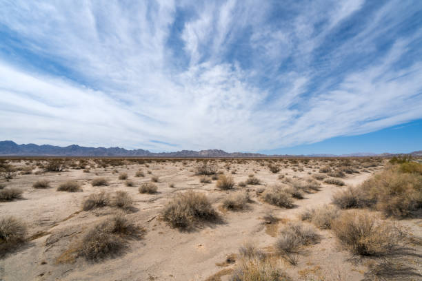 istock Mohave Desert landscape with blue cloudy skies (Arizona / California) 1057977448