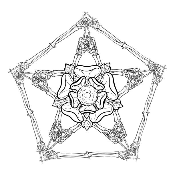 Halloween pentagrame. Human hand bones arranged in an intricate gothic occult ornament with a stylized rose flower in the center. Tattoo design. Isolated on white background. Halloween pentagrame. Human hand bones arranged in an intricate gothic occult ornament with a stylized rose flower in the center. Tattoo design. Isolated on white background. EPS10 vector illustration clip art of a dead rose stock illustrations