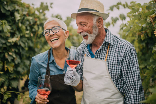 istock Smiling old couple drinking rose wine 1057979222