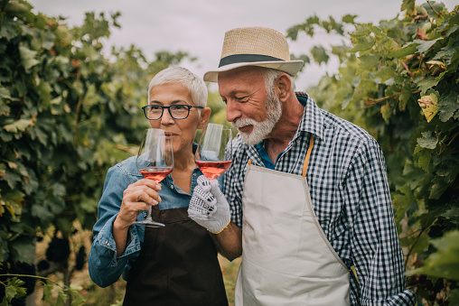 Old couple drinking rose wine