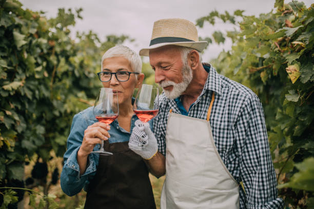 Old couple drinking rose wine Couple drinking some wine outdoors while working on the filed of grape the farmer and his wife pictures stock pictures, royalty-free photos & images