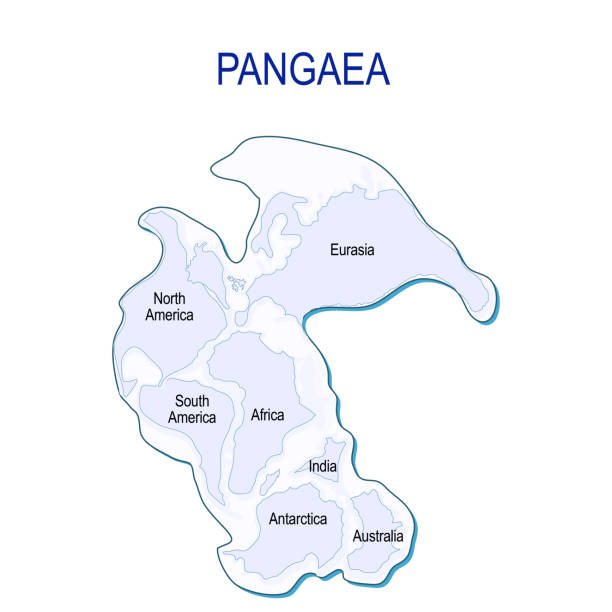 ilustrações, clipart, desenhos animados e ícones de mapa de pangeia com modernas fronteiras continentais. - pangaea map earth triassic