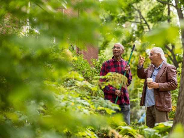 istock Senior neighbors friendly talk 1057982068