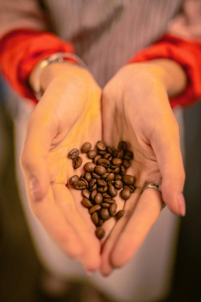 istock Professional barista showing her clean hands with seeds 1057993982