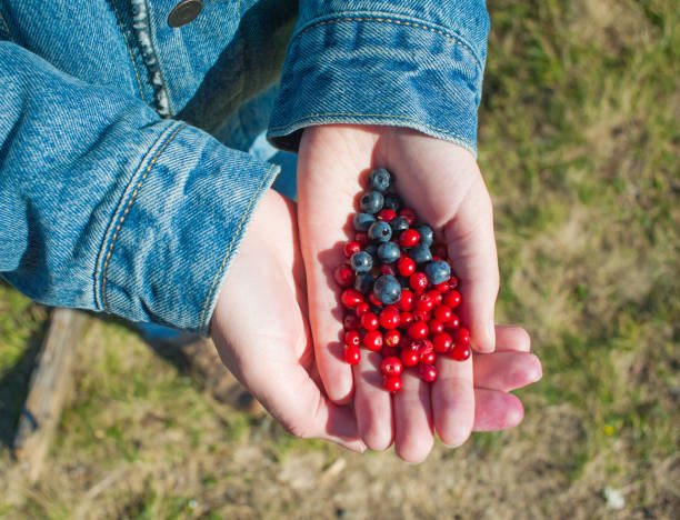 istock Eco conscious concept with person holding berries in hands 1057994256