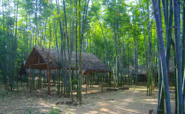 istock a hidden place in the jungle 1058002486