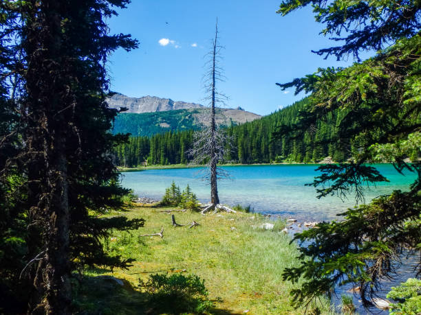 istock wonderful lake in the mountain 1058003972