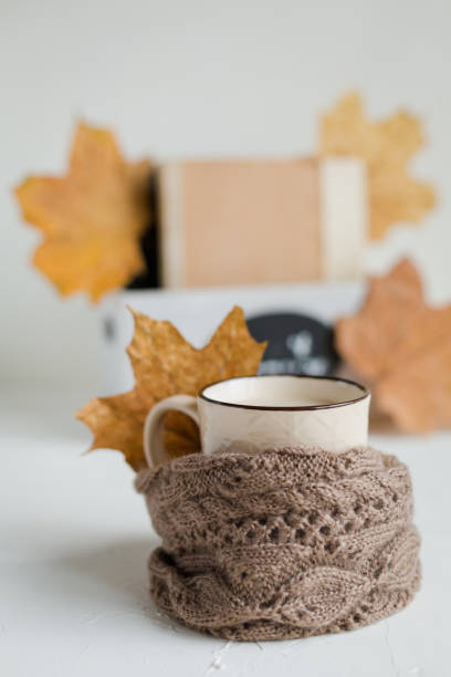 istock Coffee with milk, breakfast. Cozy concept.Autumn 1058004214