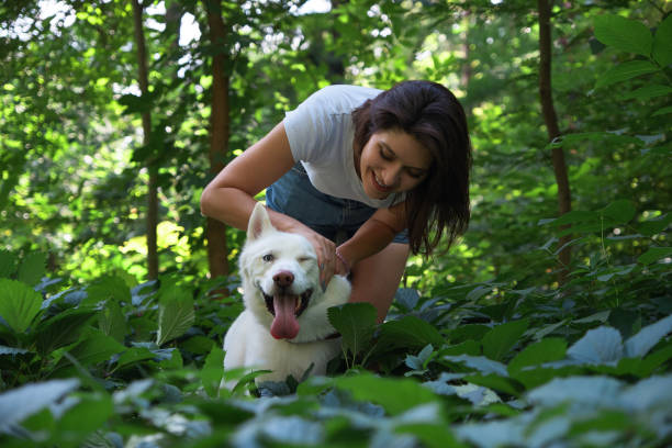istock Young woman hugging and tapping her dog 1058004346