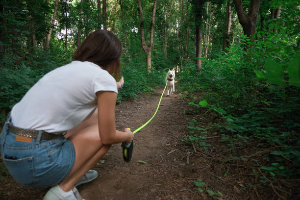 красивая женщина выгулив свою собаку - hiking young women outdoors t shirt стоковые фото и изображения