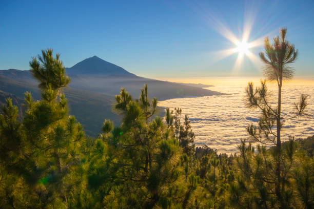 Teides sunset views Tenerife's famous landscape during sunset. Teide Volcano in the left and Puerto de la Cruz in the right part of the image
Canary Island amazing landscape. Corona Forestal and heat haze. 
Chipeque balcony. puerto de la cruz tenerife stock pictures, royalty-free photos & images